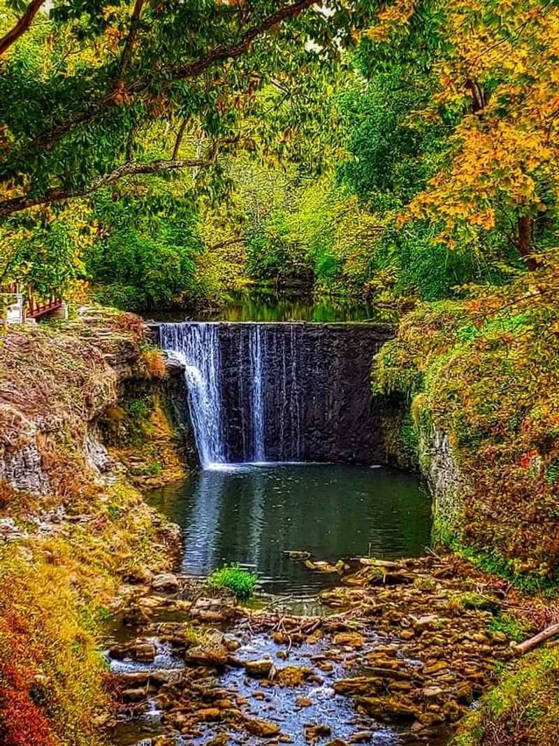 Wildlife and Wildflowers Along the Path