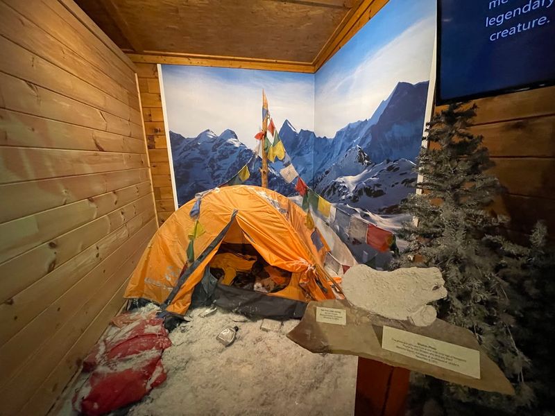 A Light Educational Angle for Families