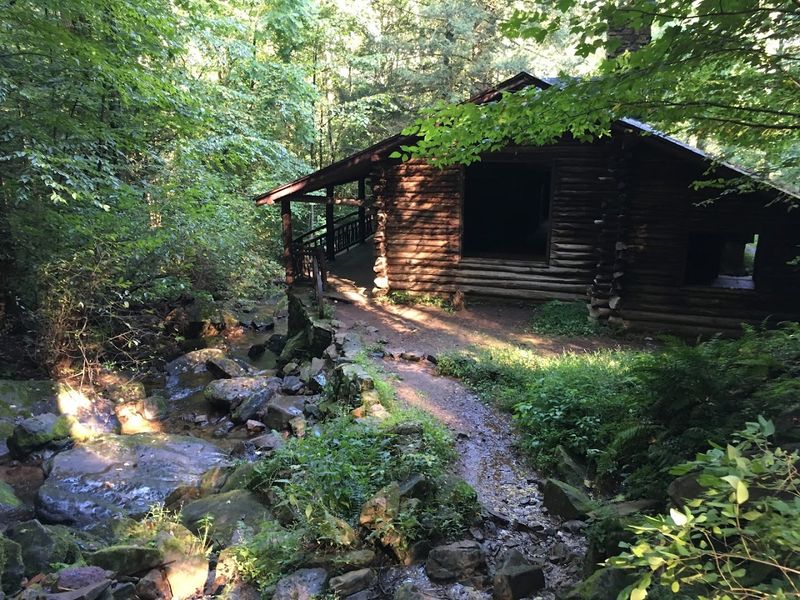 Forests Reclaiming Old Farmland and Industry