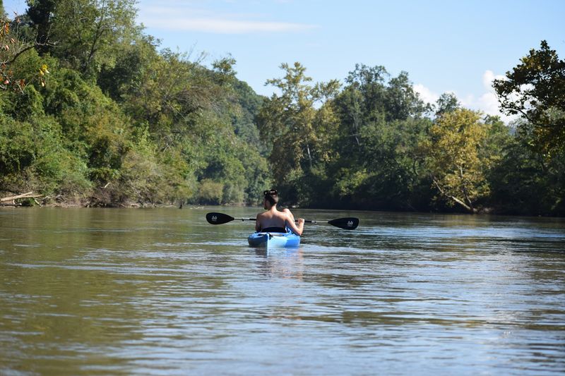 The French Broad River: Paddling, Fishing, and Just Sitting By the Water