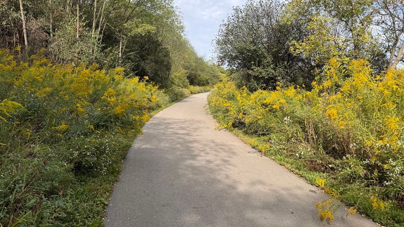 Practical Details: When to Go and What to Bring