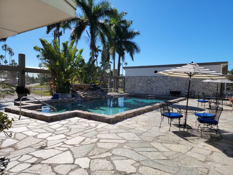 The Pool, the Lawn, and the Art of Doing Absolutely Nothing