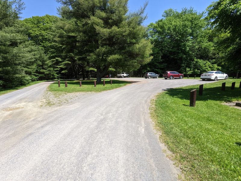 How to Get to Hearts Content and What to Know Before You Go