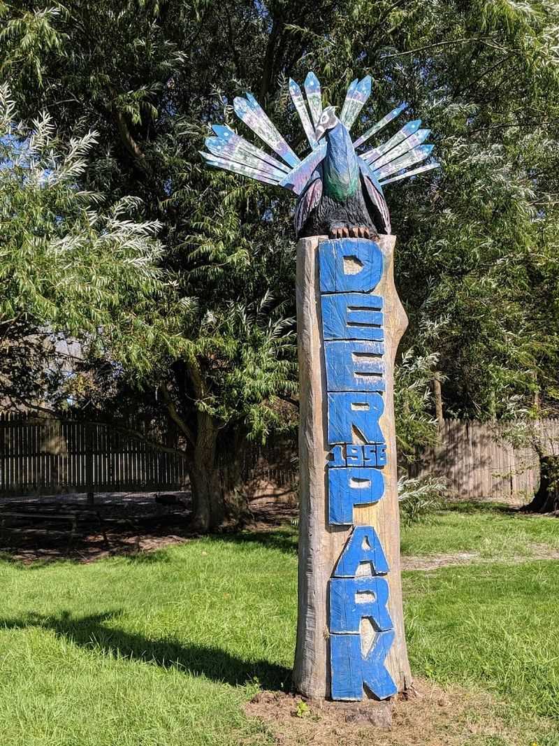 A Short Visit Can Still Feel Worth It