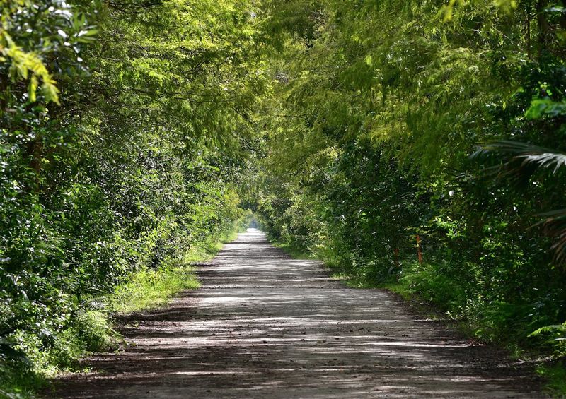 Janes Scenic Drive Adventure