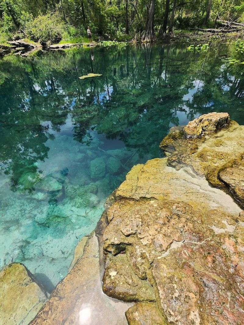 Orange Grove Sink Is The Best First Look