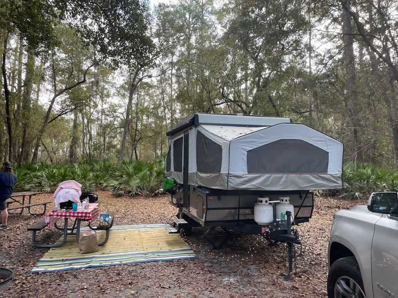 Camping Under a Dark Sky