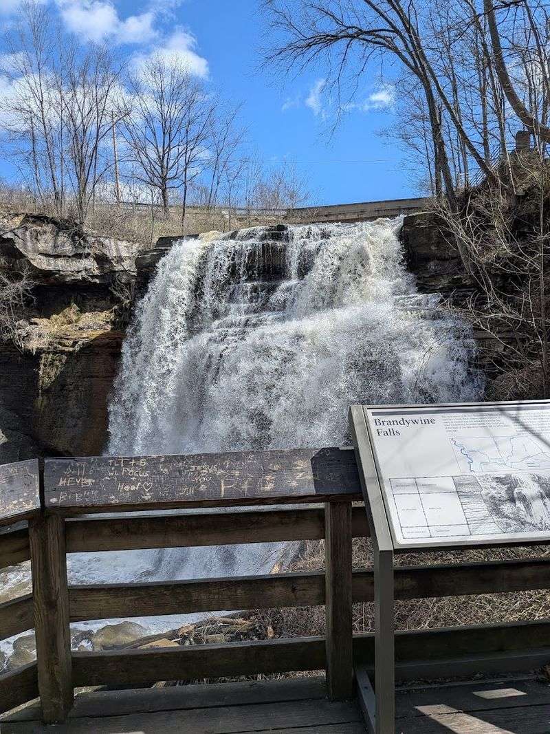 Multiple Viewing Levels of the Waterfall