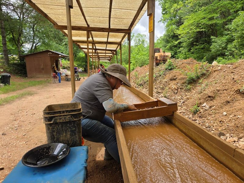 The Sluice: Where Mud Transforms Into Treasure