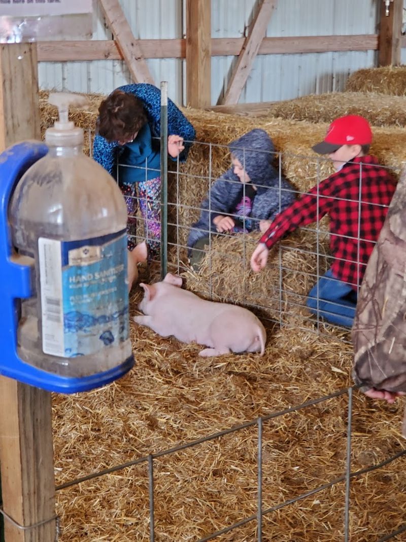 The Petting Zoo That Kids Absolutely Adore
