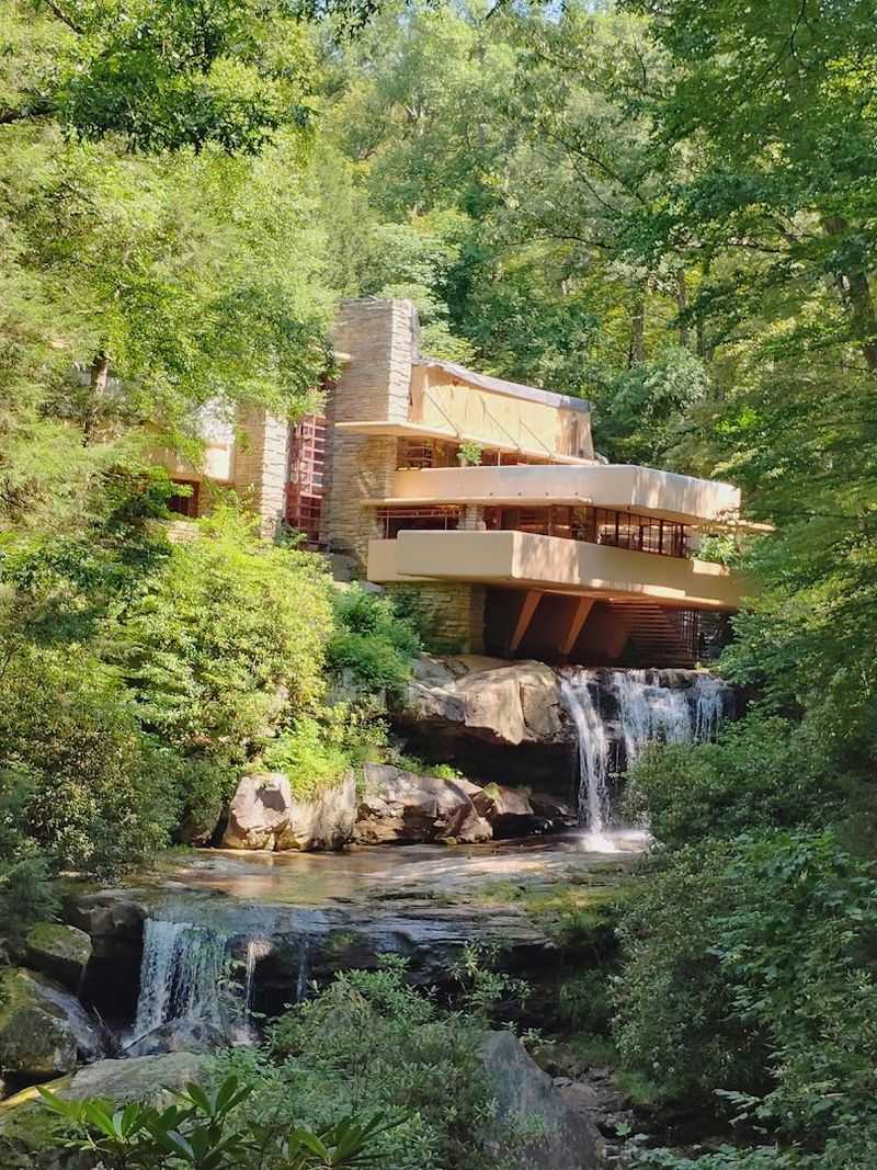 Bear Run Stream and the Waterfall That Never Sleeps