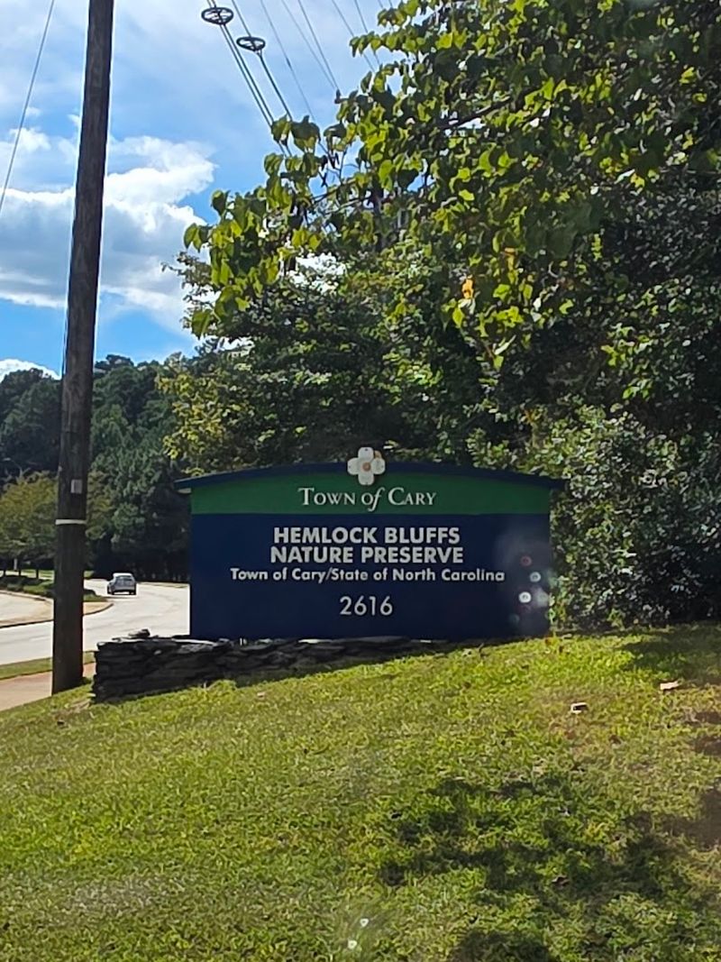 Practical Visitor Tips: Hours, Parking, Bugs, and What to Bring