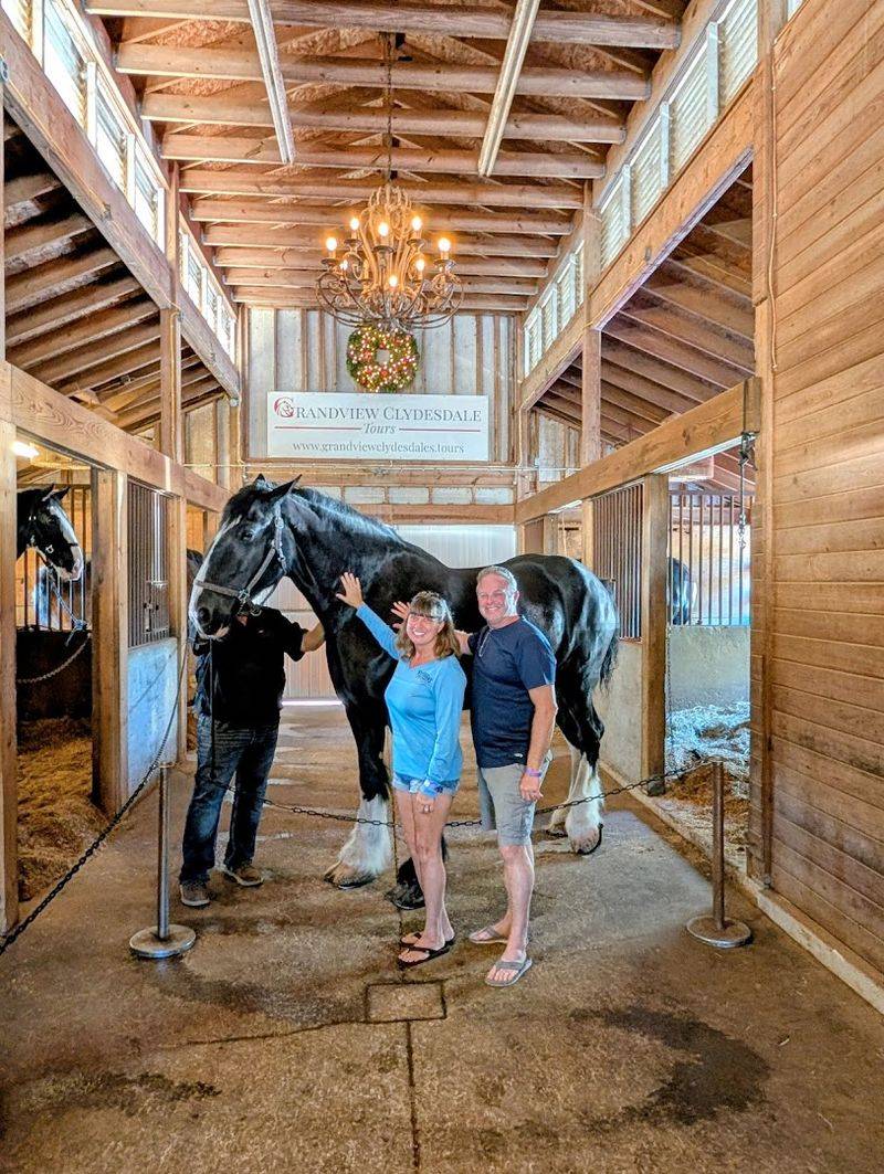 What to Expect: Practical Tips for Visiting