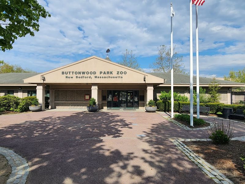 Unbeatable Admission Prices: A Zoo That Respects Your Budget