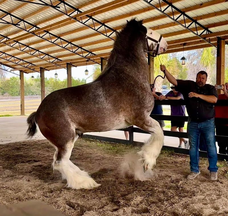 36 World Championships and Counting