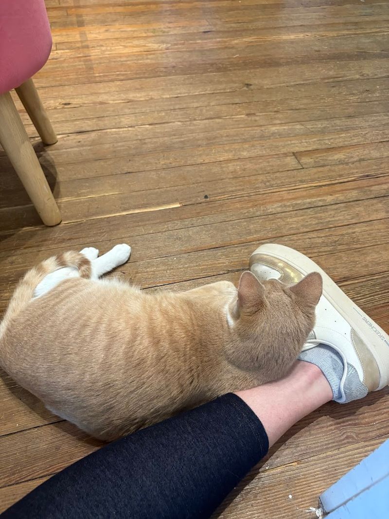 A Warm, Inviting Atmosphere