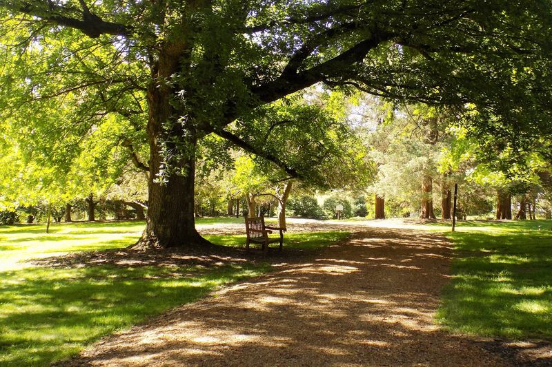 A Walkable Layout With Themed Garden Areas