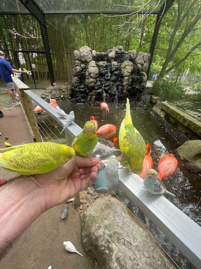 The Famous Landing Zone