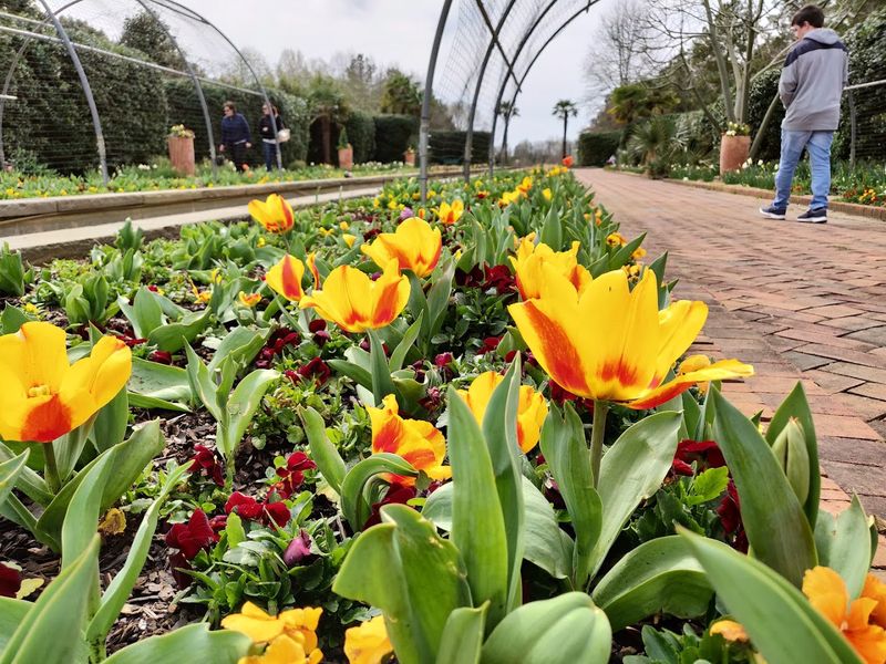 Affordable Admission and Membership Options