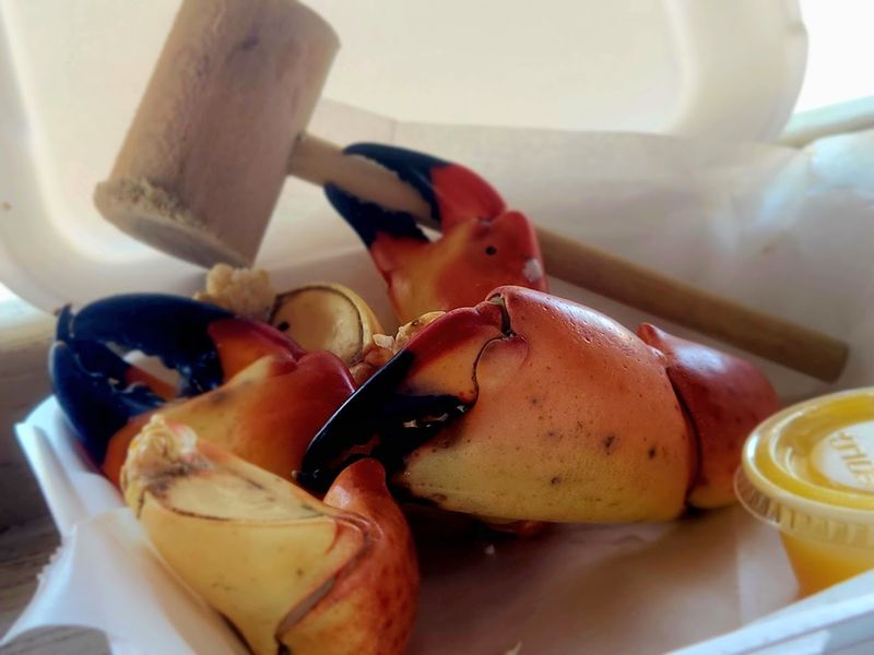 Stone Crab Claws Fresher Than Anywhere Else on the Gulf