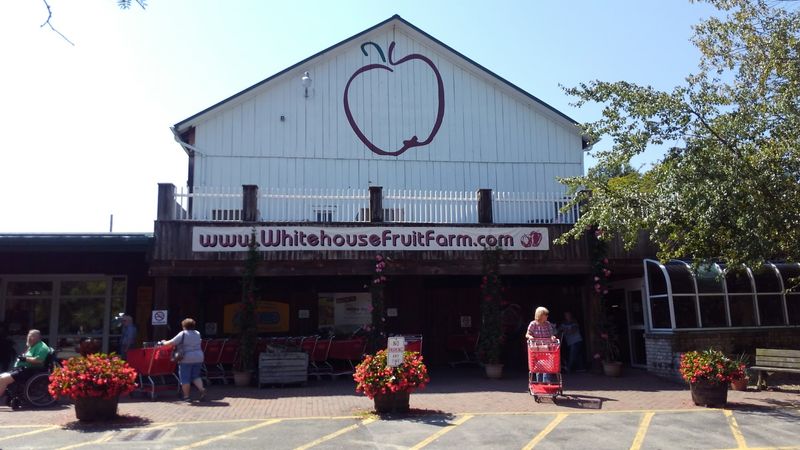 How To Time It Like A Regular