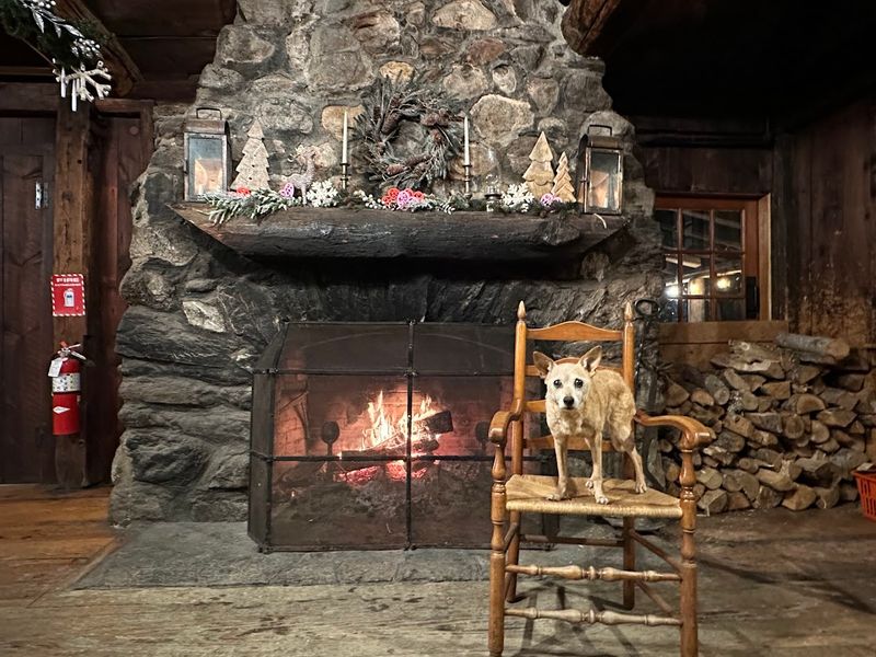 The Cozy Fireplaces and Rustic Interior Ambiance