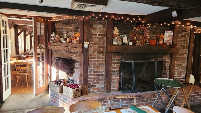 The Rustic Interior Ambiance and Fireplaces
