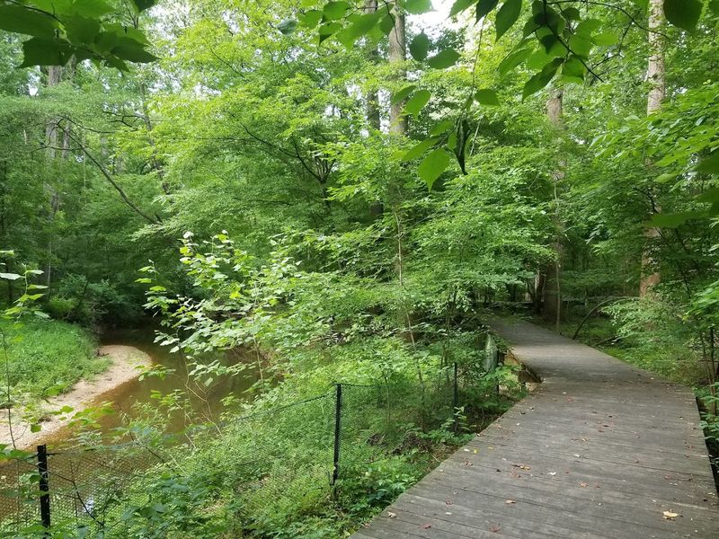 The 3-Mile Trail System and What to Expect on Each Route