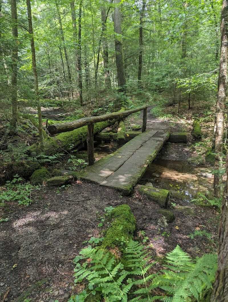 The Sense of Timelessness That Makes Visitors Feel Frozen in Another Century