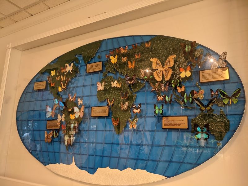 Navigating With Kids