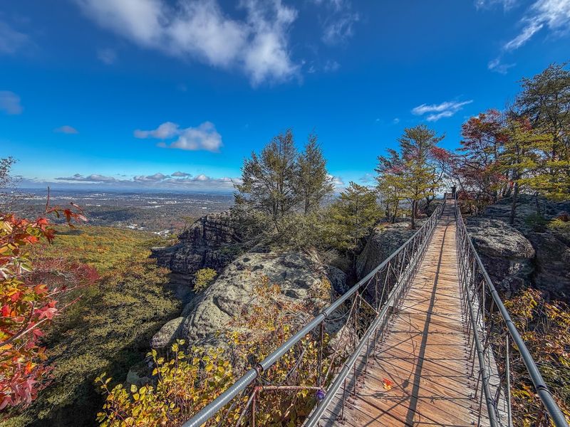 The Swing-A-Long Bridge
