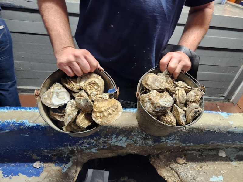 Oysters by the Bucket Tradition