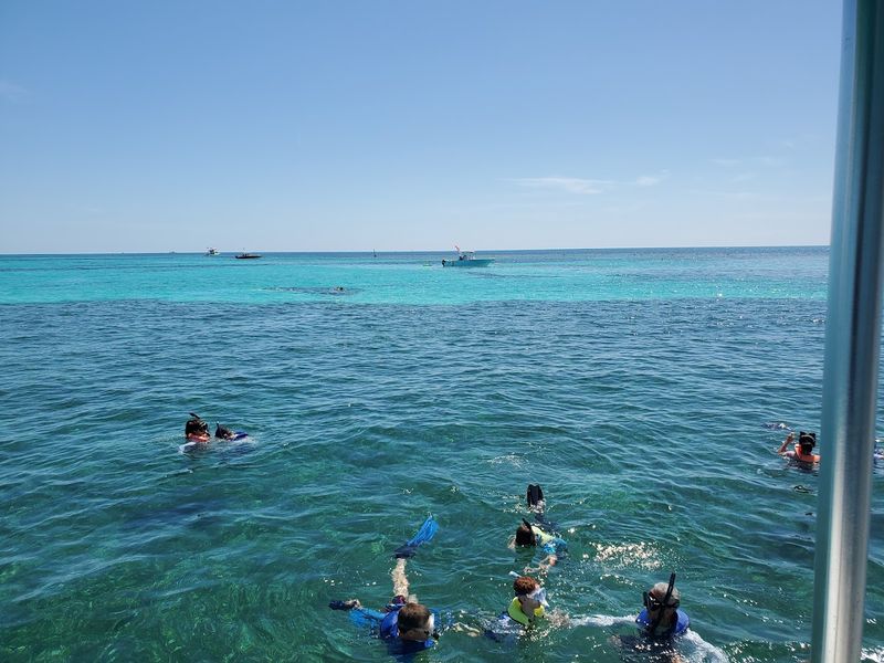 Snorkeling for All Skill Levels