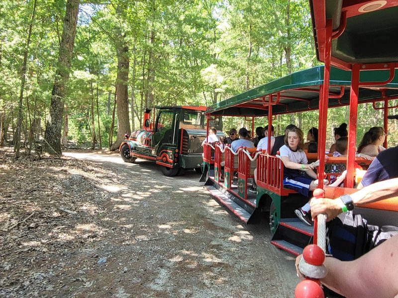 Thrilling Rides: Sky Ride, Train, Carousel, and Zip Line