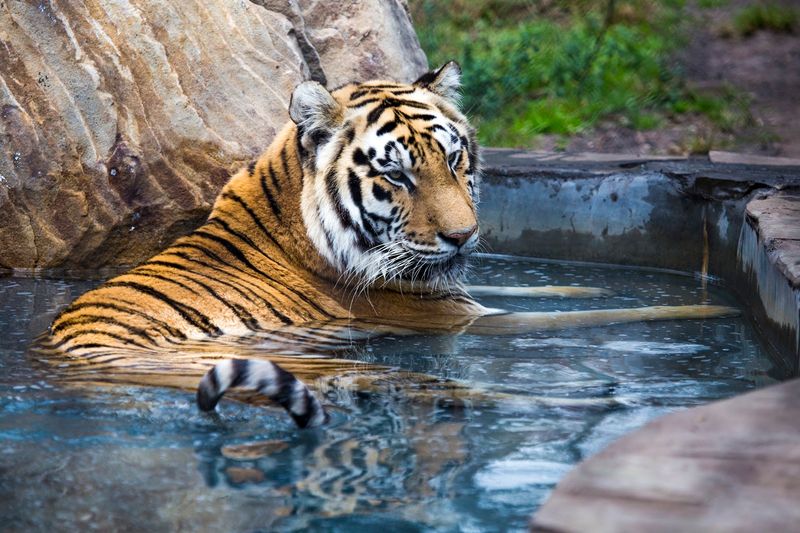 A Self-Guided Walk With Expert Insight