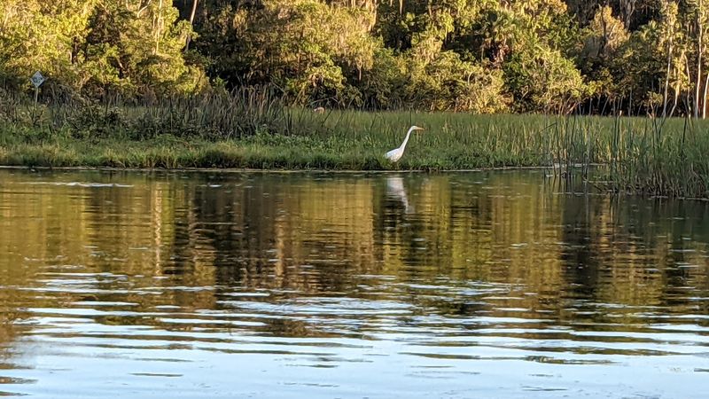 Abundant Wildlife and Birdwatching