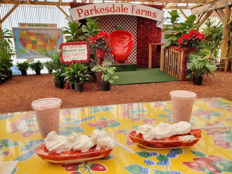 Strawberry Milkshakes That Set The Standard
