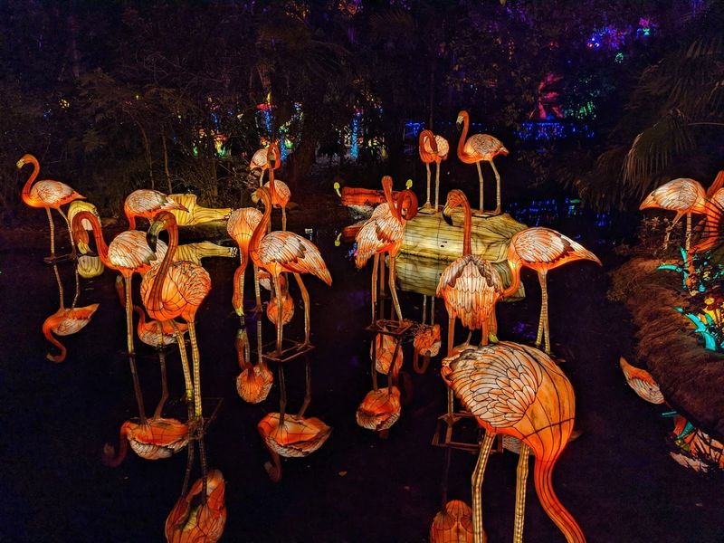 Educational Wildlife Shows and Keeper Talks