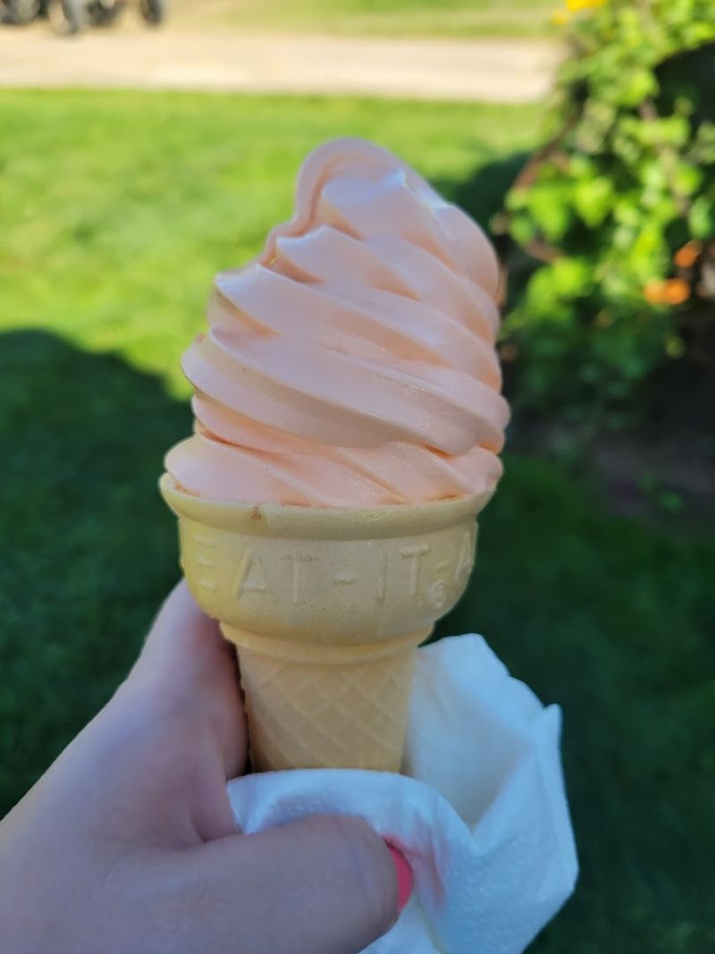 Mouthwatering Pumpkin Ice Cream and Homemade Donuts