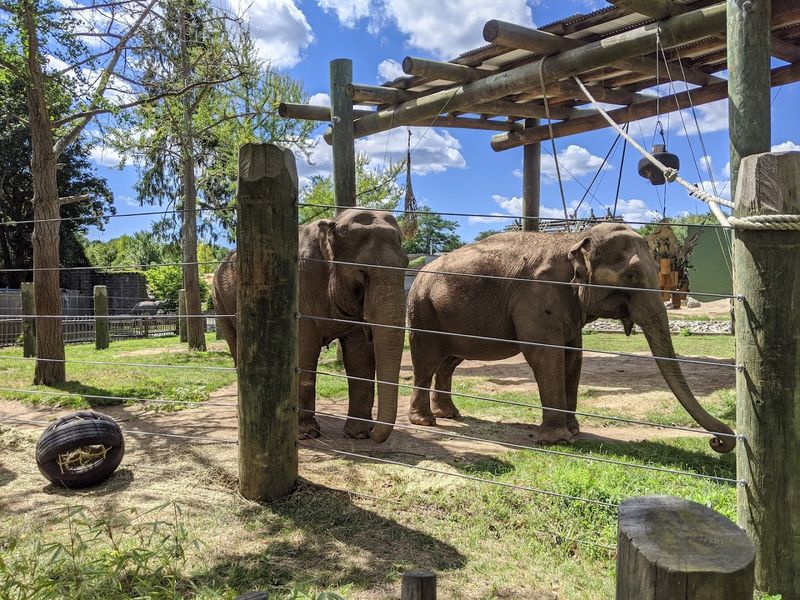 Low Crowds and a Laid-Back Atmosphere: The Anti-Big-City Zoo Experience