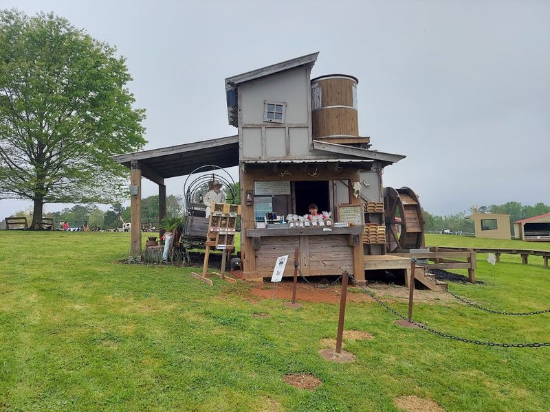 Food, Snacks, and Eating on the Farm