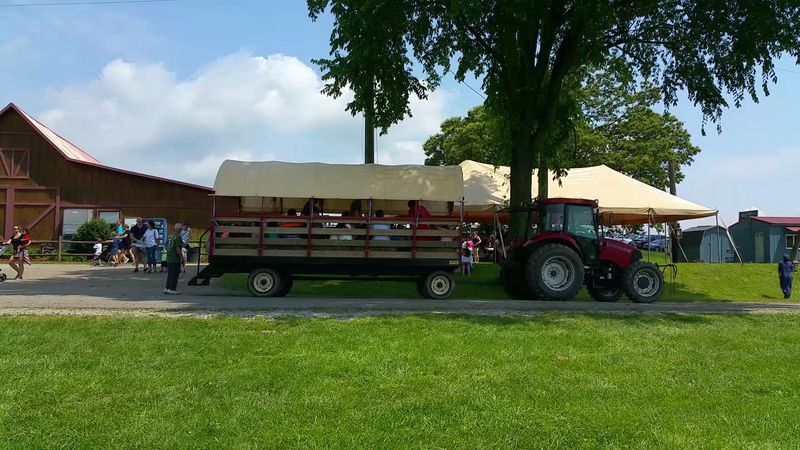 The Hayride and Farm Activities for Kids