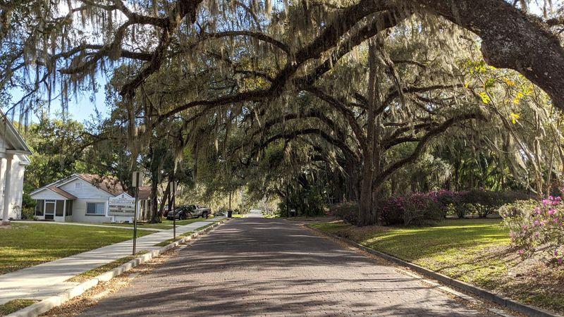 Brooksville Is the Plot Twist in the Florida Scenery