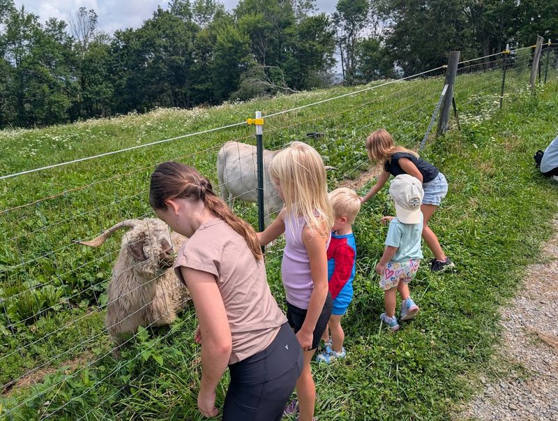 Kid-Friendly Fun for All Ages