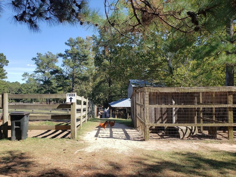 Planning Your Visit: Seasons, Hours, and What to Bring