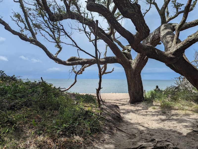 Hidden Pirate Sites You Can Still Walk Today