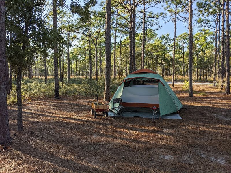 Campgrounds That Feel Tucked Away from the World