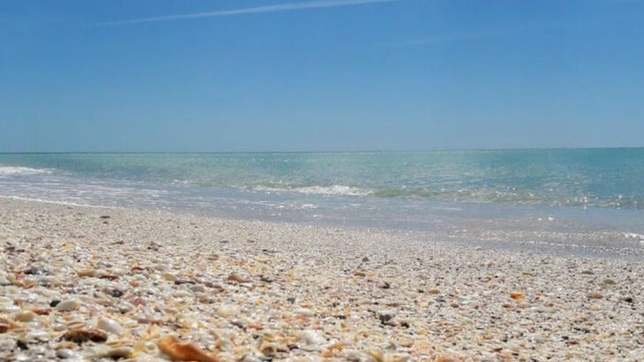 The Florida Beaches Where Sea Glass Quietly Washes Up Alongside the Shark Teeth and Seashells