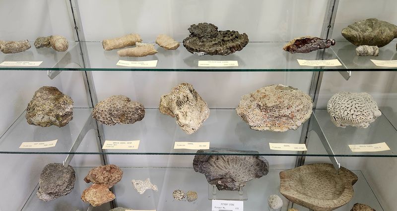 What Makes This Region Geologically Unusual