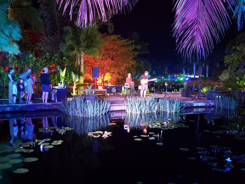 Spectacular Seasonal Holiday Light Shows